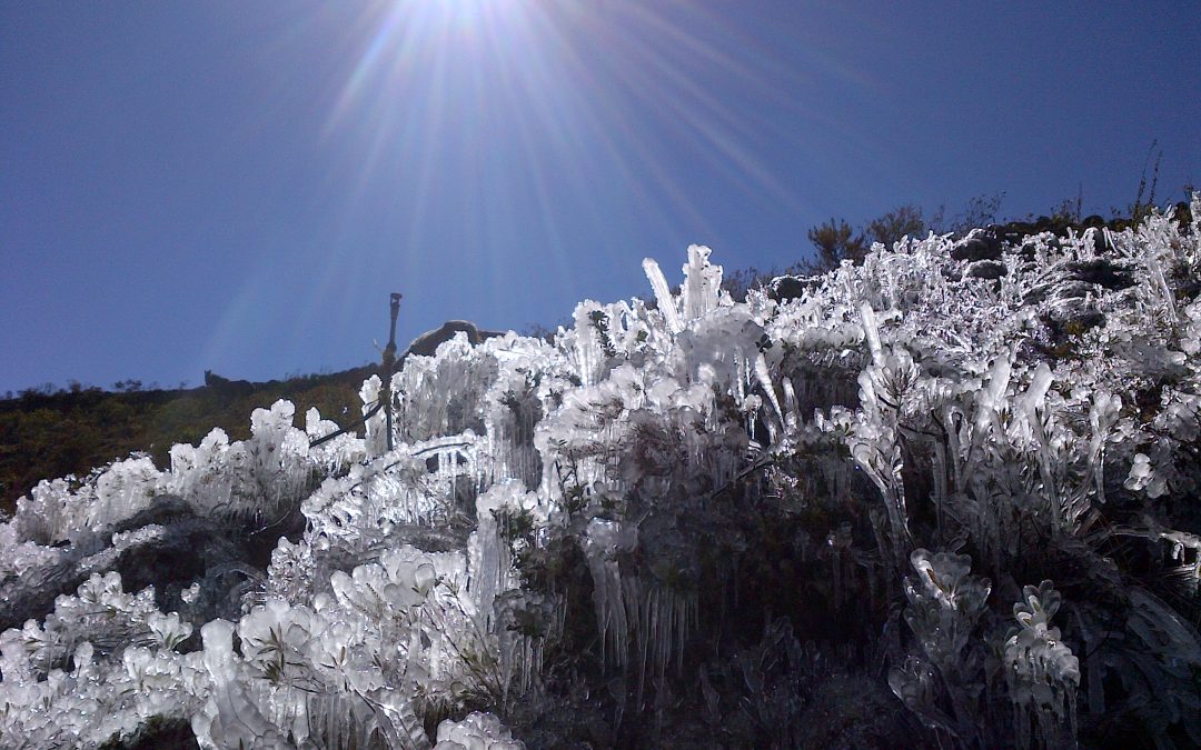 Winter Wellness : Helping you through the blues